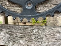 IMG_6406.jpeg