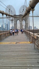 20250727_151157.jpg
