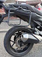 IMG_1259.jpeg