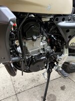 IMG_2417.jpeg IMG_2417.jpeg