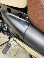 IMG_2591.jpeg IMG_2591.jpeg
