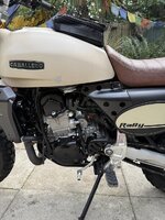 IMG_2592.jpeg IMG_2592.jpeg