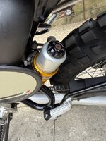 IMG_2593.jpeg IMG_2593.jpeg
