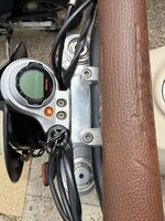 IMG_2594.jpeg IMG_2594.jpeg