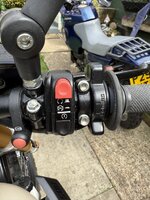IMG_2595.jpeg IMG_2595.jpeg
