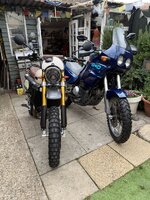 IMG_2513.jpeg IMG_2513.jpeg