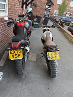 IMG_2397.jpeg IMG_2397.jpeg