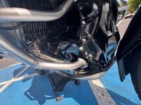 IMG_2779.jpeg