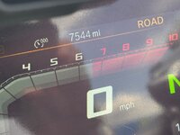 IMG_2784.jpeg
