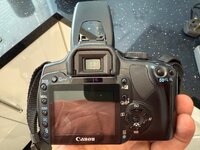 IMG_1786.jpeg