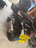 IMG_2049.jpeg