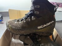 IMG_2524.jpeg