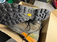 IMG_2525.jpeg