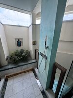 IMG_7981.jpeg