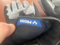 IMG_3369.jpeg