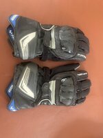 IMG_3366.jpeg