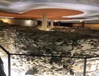 IMG_7996.jpeg
