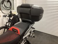 IMG_0253.jpeg