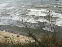 IMG_2456.jpeg