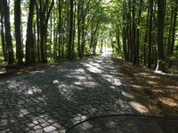 IMG_2484.jpeg