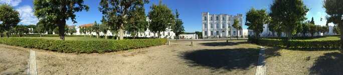 IMG_2486.jpeg