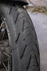 _XT53793.jpg