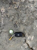IMG_3983.jpeg