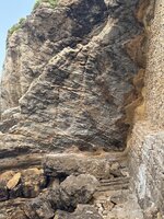 IMG_3999.jpeg