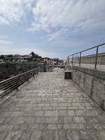 IMG_4011.jpeg