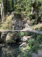 IMG_4046.jpeg