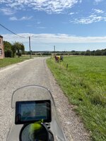 IMG_0342.jpeg