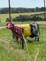 IMG_0343.jpeg