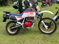 IMG_1952.jpeg