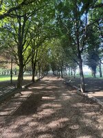 IMG_4121.jpeg