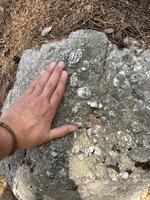 IMG_4145.jpeg