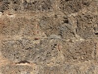 IMG_4210.jpeg