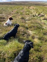IMG_7872.jpeg