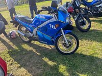 IMG_5948.jpeg IMG_5948.jpeg