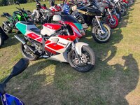 IMG_5952.jpeg IMG_5952.jpeg