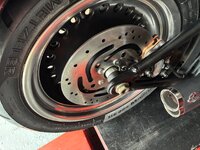 IMG_9912.jpeg