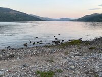 IMG_9931.jpeg