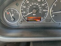 IMG_7233.jpeg