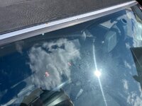 IMG_7237.jpeg