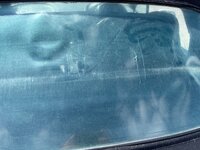 IMG_7236.jpeg