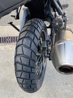 IMG_0269.jpeg