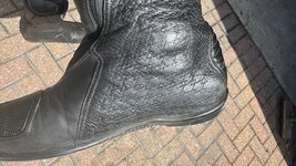 IMG_4982.jpeg