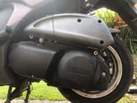 IMG_4524.jpeg