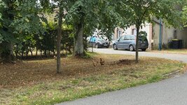 IMG_7451.jpeg IMG_7451.jpeg