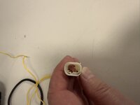 IMG_2146.JPEG
