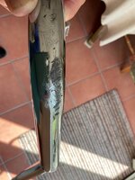 IMG_7248.jpeg